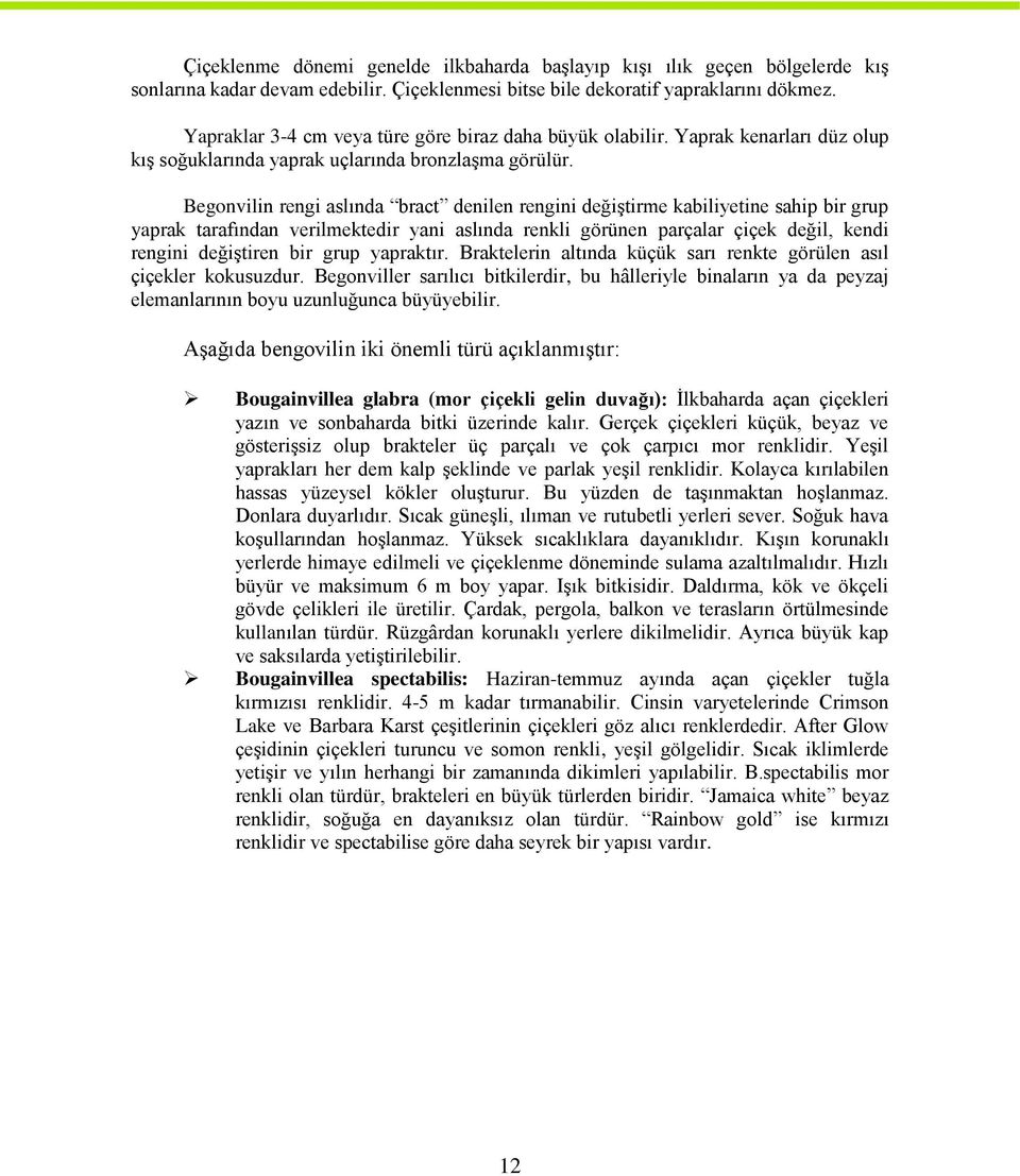 Begonvilin rengi aslında bract denilen rengini değiştirme kabiliyetine sahip bir grup yaprak tarafından verilmektedir yani aslında renkli görünen parçalar çiçek değil, kendi rengini değiştiren bir