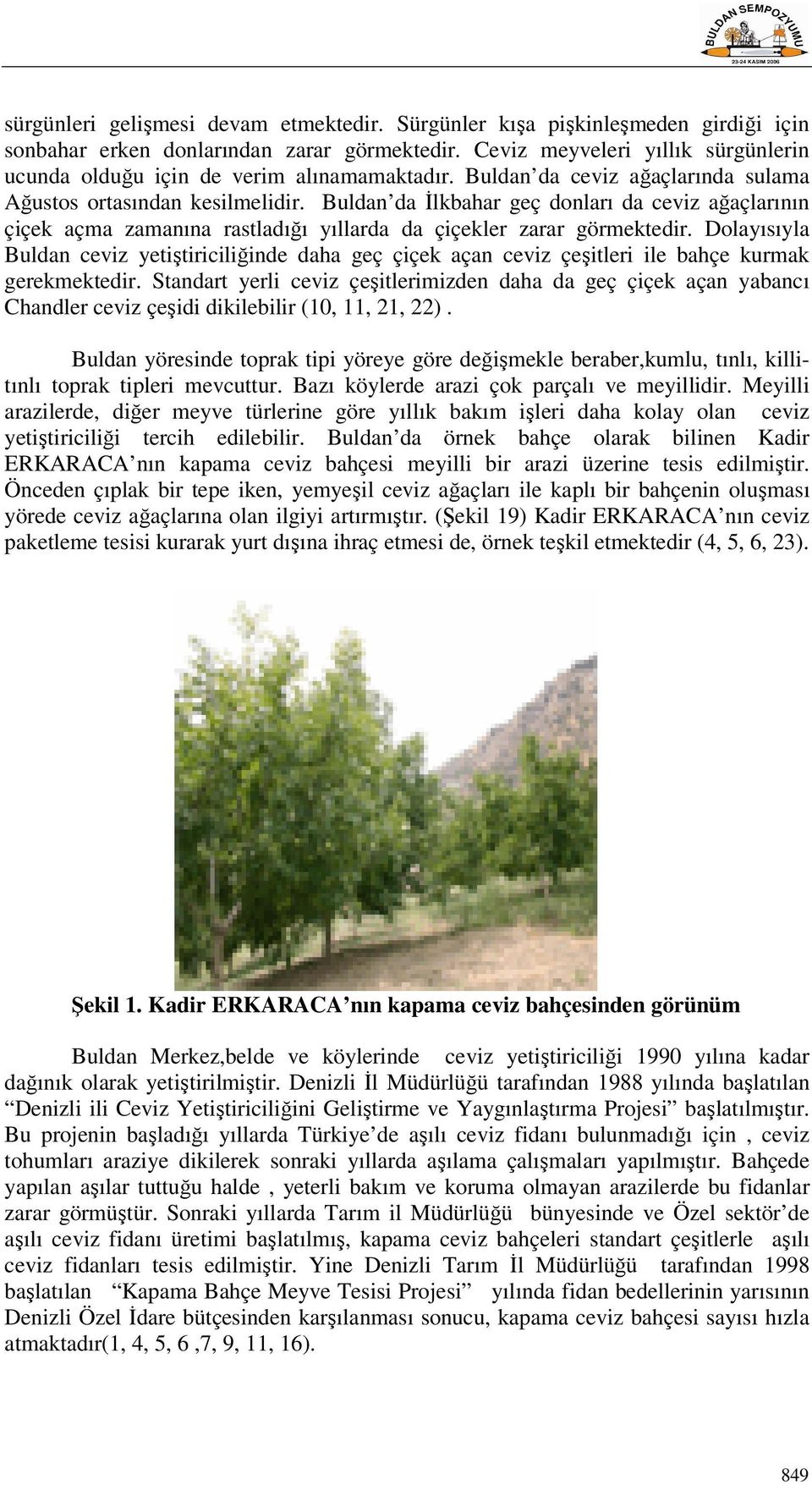 Buldan da İlkbahar geç donları da ceviz ağaçlarının çiçek açma zamanına rastladığı yıllarda da çiçekler zarar görmektedir.