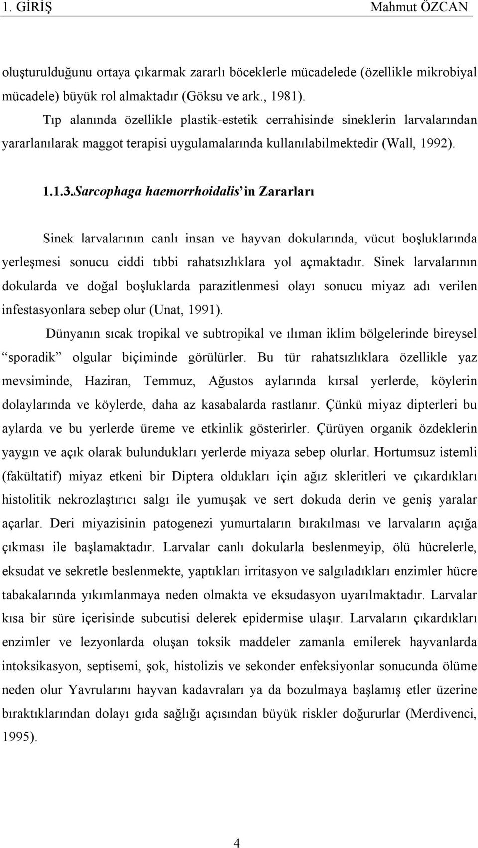 Sarcophaga haemorrhoidalis in Zararları Sinek larvalarının canlı insan ve hayvan dokularında, vücut boşluklarında yerleşmesi sonucu ciddi tıbbi rahatsızlıklara yol açmaktadır.