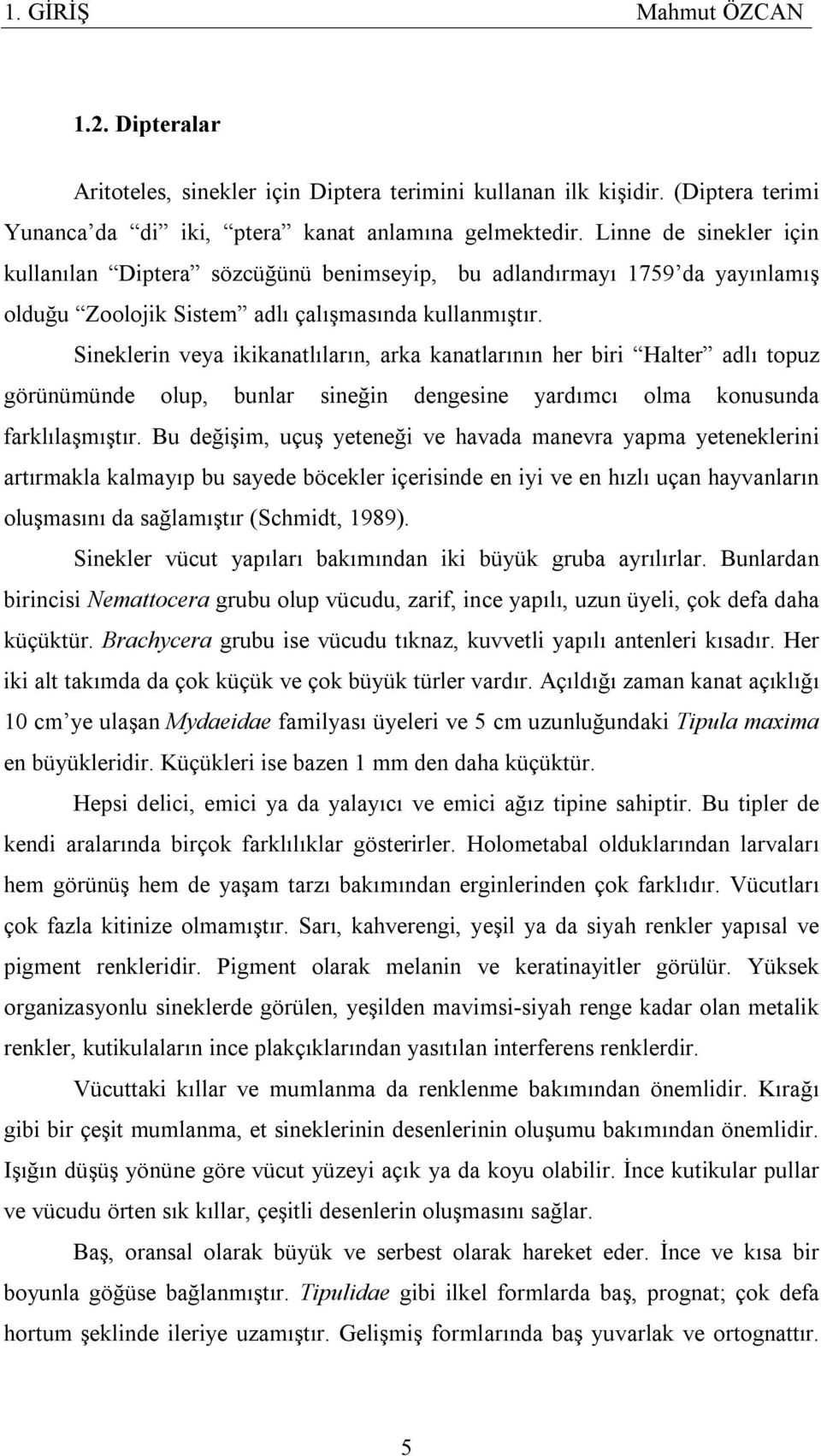 Sineklerin veya ikikanatlıların, arka kanatlarının her biri Halter adlı topuz görünümünde olup, bunlar sineğin dengesine yardımcı olma konusunda farklılaşmıştır.