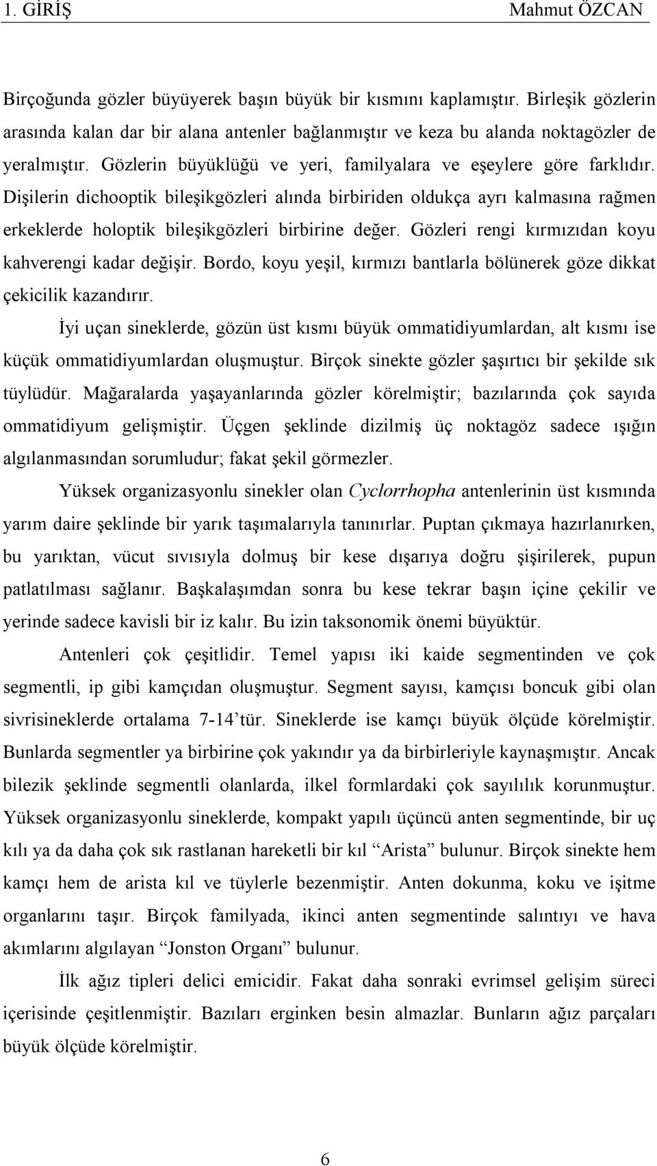 Dişilerin dichooptik bileşikgözleri alında birbiriden oldukça ayrı kalmasına rağmen erkeklerde holoptik bileşikgözleri birbirine değer. Gözleri rengi kırmızıdan koyu kahverengi kadar değişir.