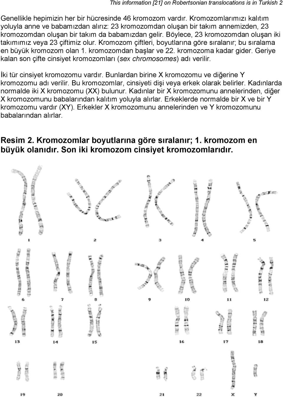 Böylece, 23 kromozomdan oluşan iki takımımız veya 23 çiftimiz olur. Kromozom çiftleri, boyutlarına göre sıralanır; bu sıralama en büyük kromozom olan 1. kromozomdan başlar ve 22.