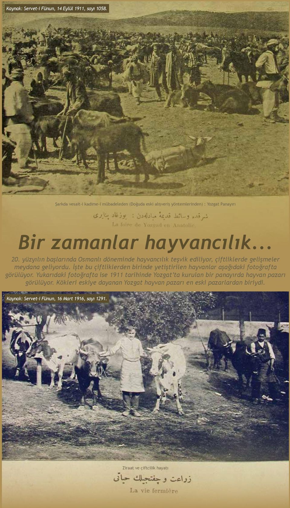 yüzyılın başlarında Osmanlı döneminde hayvancılık teşvik ediliyor, çiftliklerde gelişmeler meydana geliyordu.