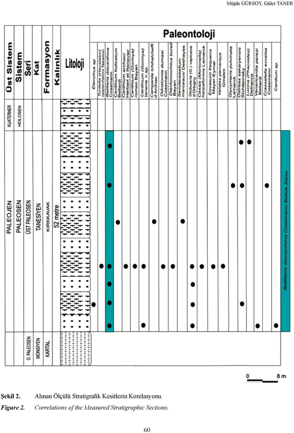 Alınan Ölçülü Stratigrafik Kesitlerin