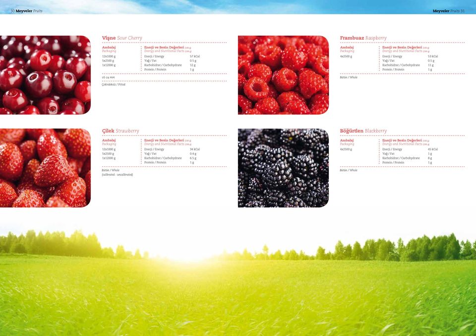 5 g 1 16-24 mm Bütün / Whole Çekirdeksiz / Pitted Çilek Strawberry