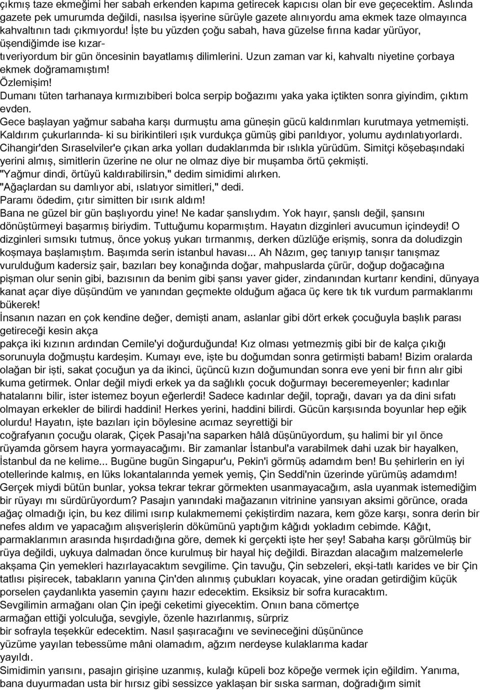 İşte bu yüzden çoğu sabah, hava güzelse fırına kadar yürüyor, üşendiğimde ise kızartıveriyordum bir gün öncesinin bayatlamış dilimlerini.