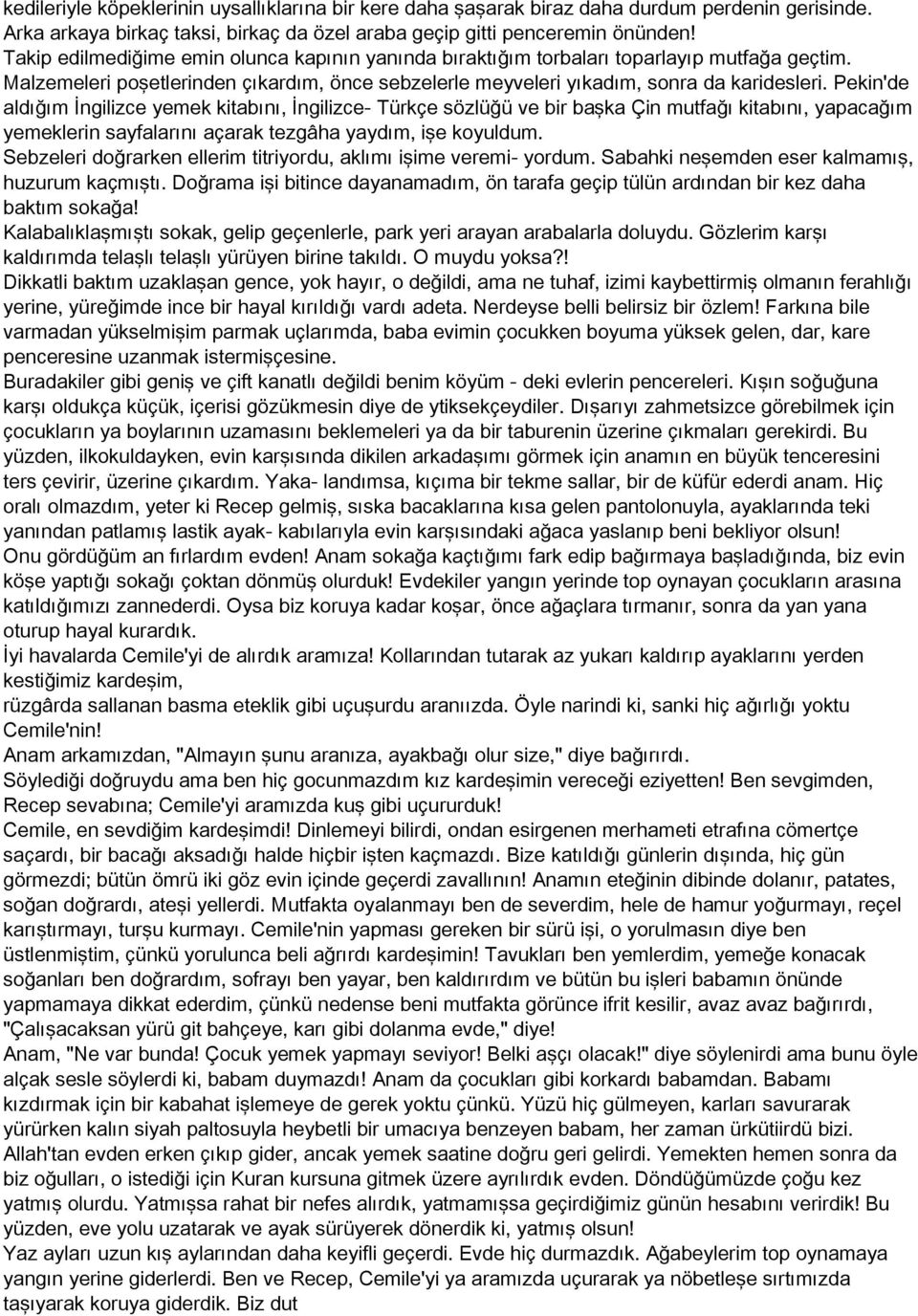 Pekin'de aldığım İngilizce yemek kitabını, İngilizce- Türkçe sözlüğü ve bir başka Çin mutfağı kitabını, yapacağım yemeklerin sayfalarını açarak tezgâha yaydım, işe koyuldum.