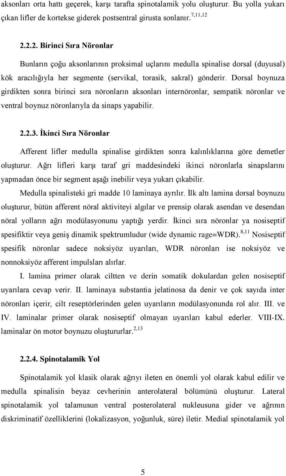 Dorsal boynuza girdikten sonra birinci sıra nöronların aksonları internöronlar, sempatik nöronlar ve ventral boynuz nöronlarıyla da sinaps yapabilir. 2.2.3.