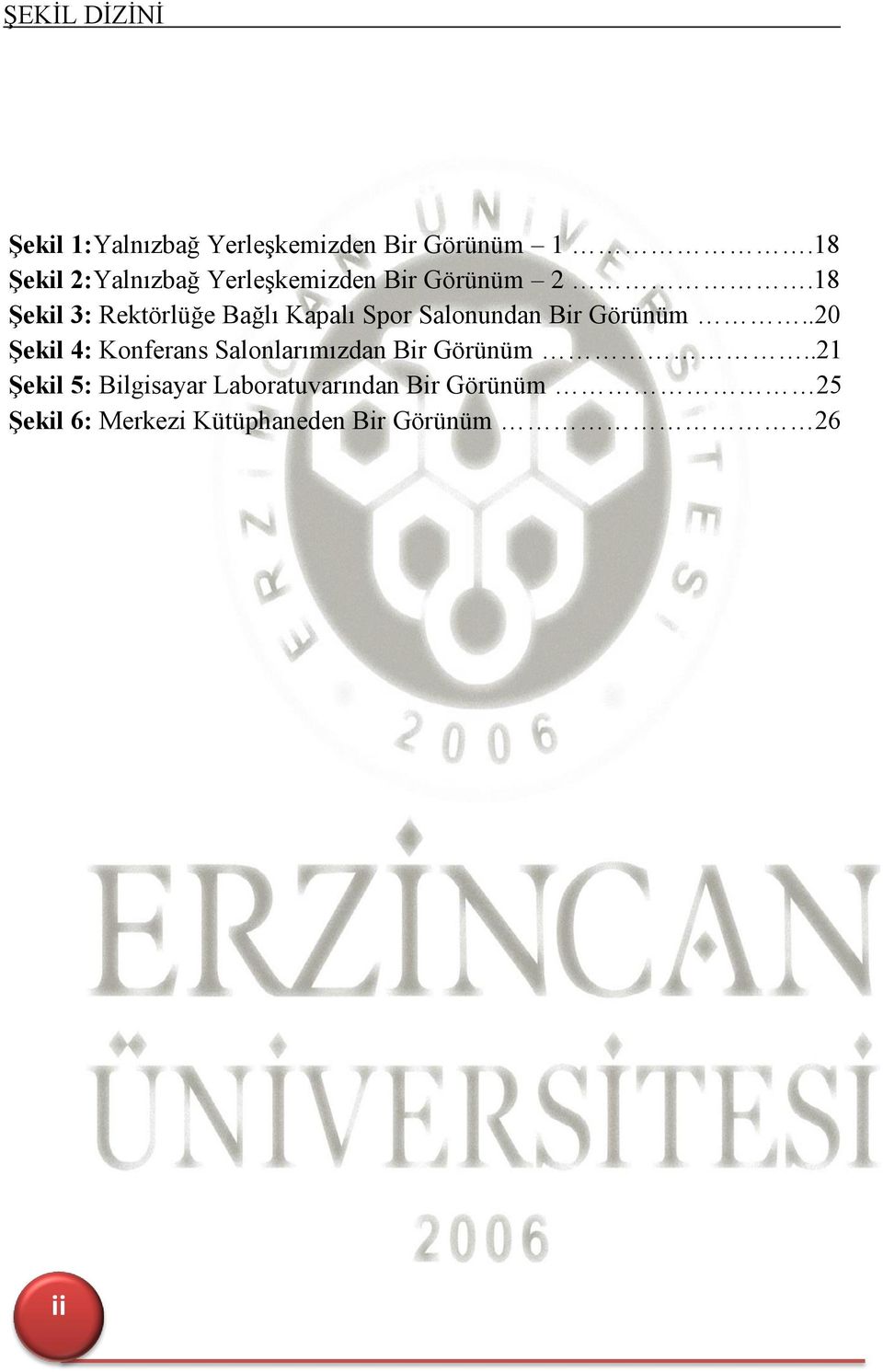 18 Şekil 3: Rektörlüğe Bağlı Kapalı Spor Salonundan Bir Görünüm.