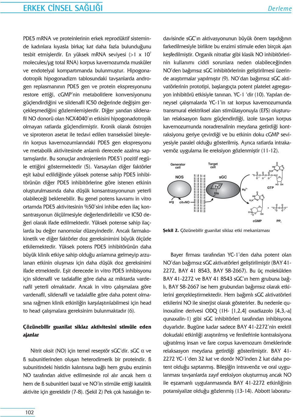 Hipogonadotropik hipogonadizm tablosundaki tavflanlarda androgen replasman n n PDE5 gen ve protein ekspresyonunu restore etti i, cgmp nin metabolitlere konversiyonunu güçlendirdi ini ve sildenafil