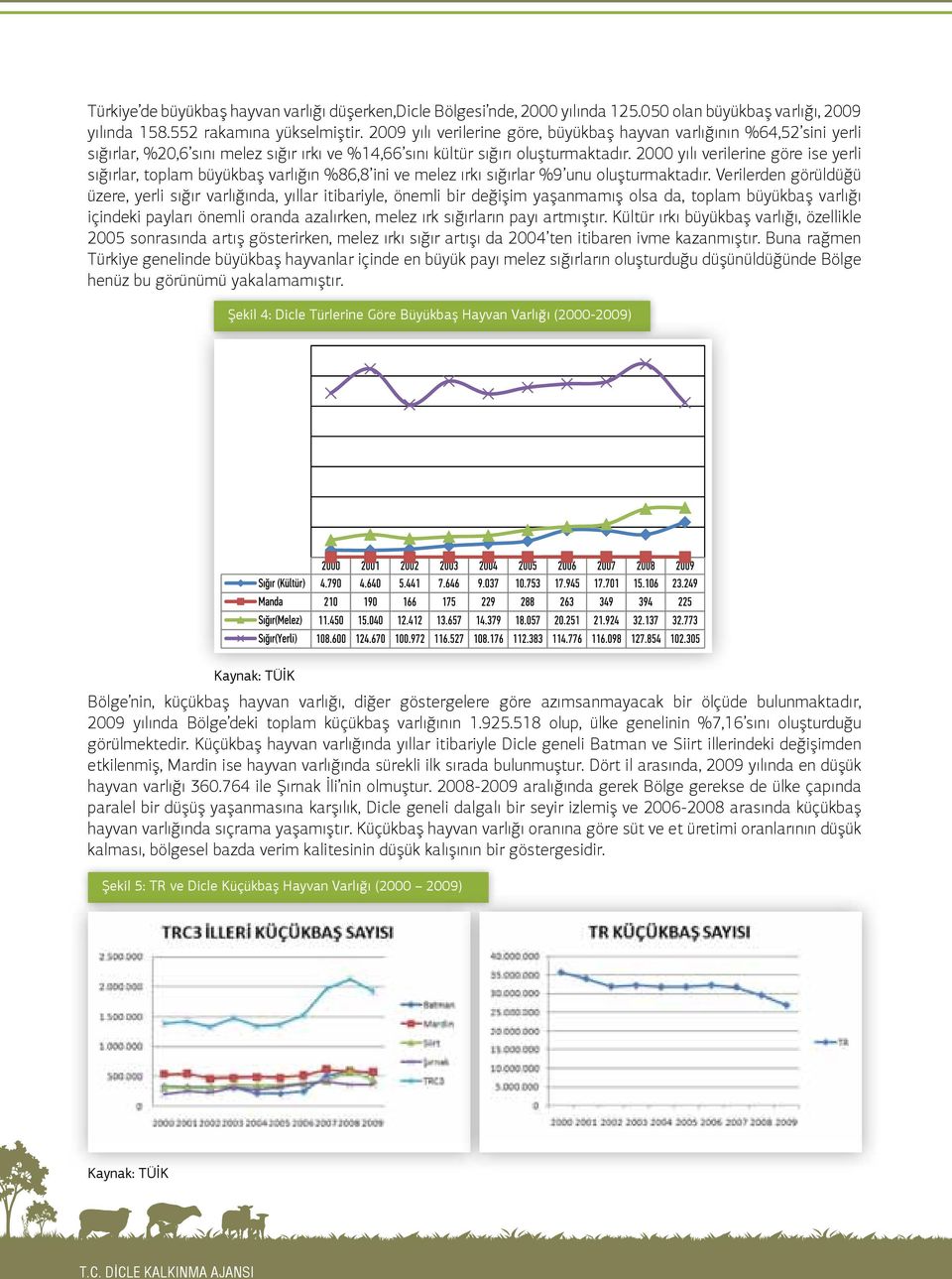 2000 yılı verilerine göre ise yerli sığırlar, toplam büyükbaş varlığın %86,8 ini ve melez ırkı sığırlar %9 unu oluşturmaktadır.