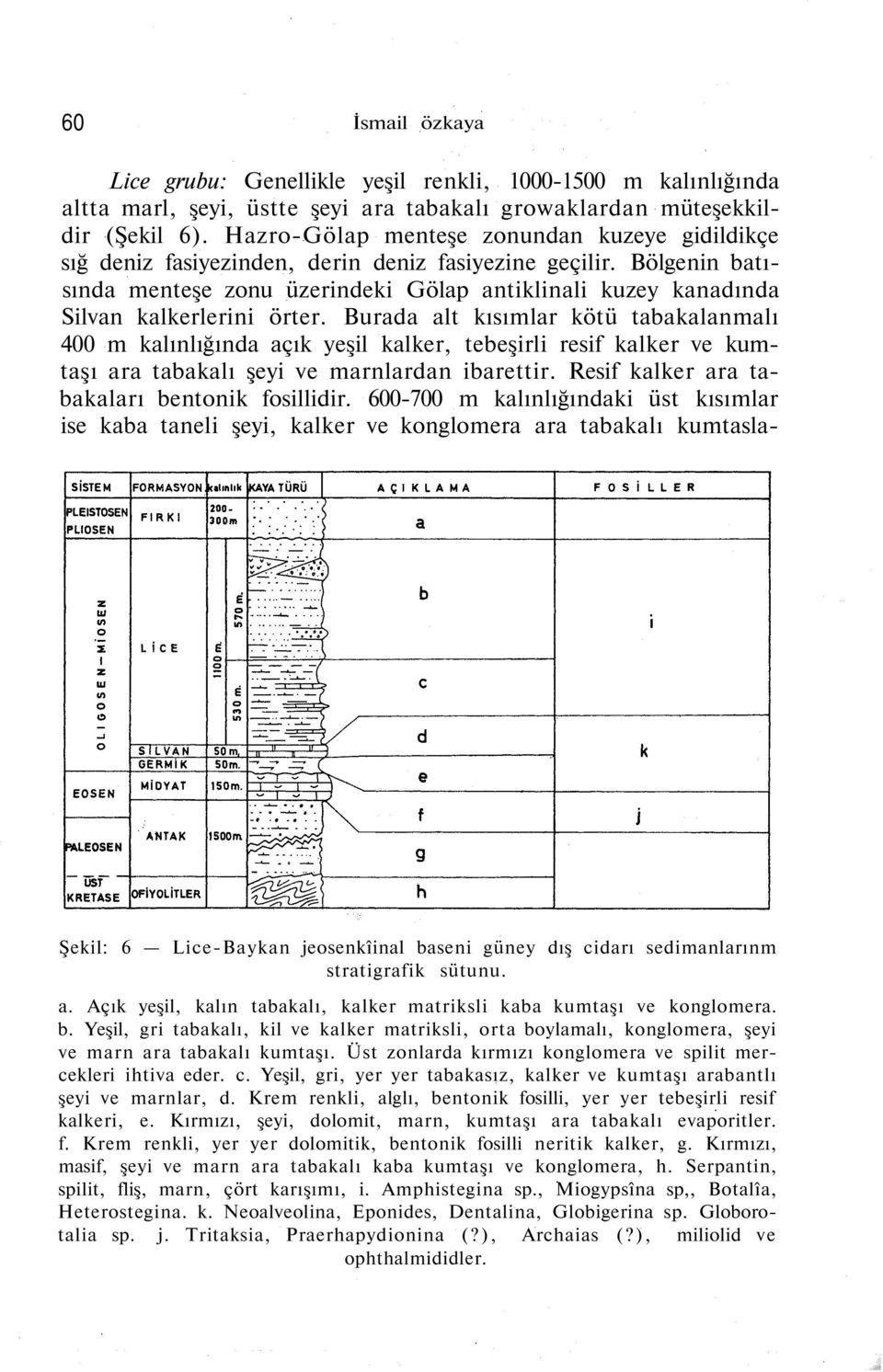 Bölgenin batısında menteşe zonu üzerindeki Gölap antiklinali kuzey kanadında Silvan kalkerlerini örter.