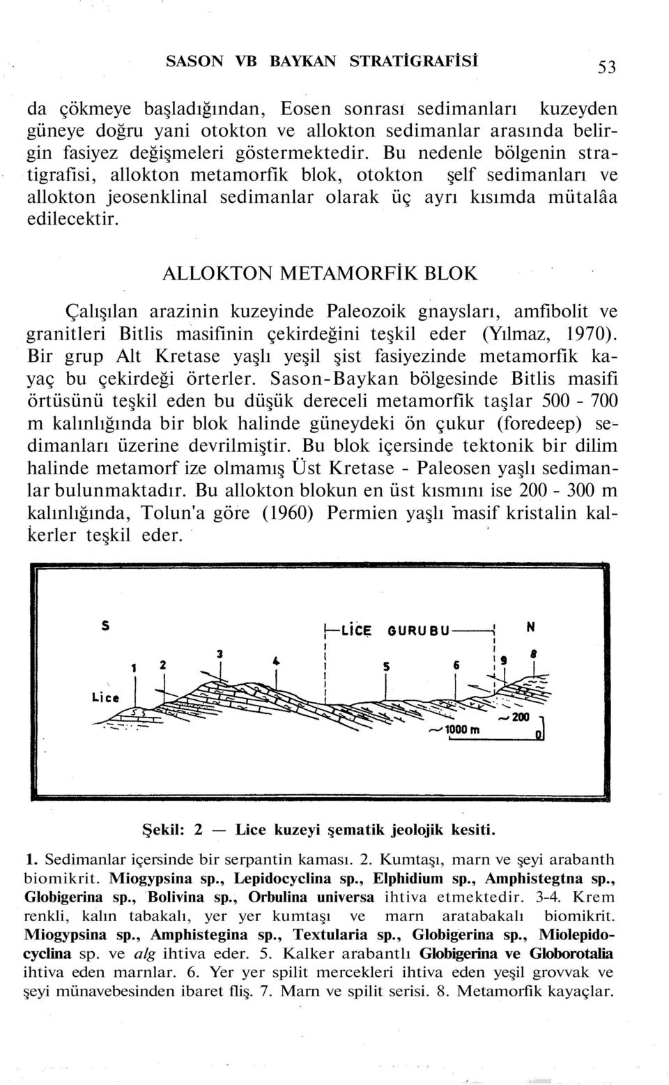 ALLOKTON METAMORFİK BLOK Çalışılan arazinin kuzeyinde Paleozoik gnaysları, amfibolit ve granitleri Bitlis masifinin çekirdeğini teşkil eder (Yılmaz, 1970).