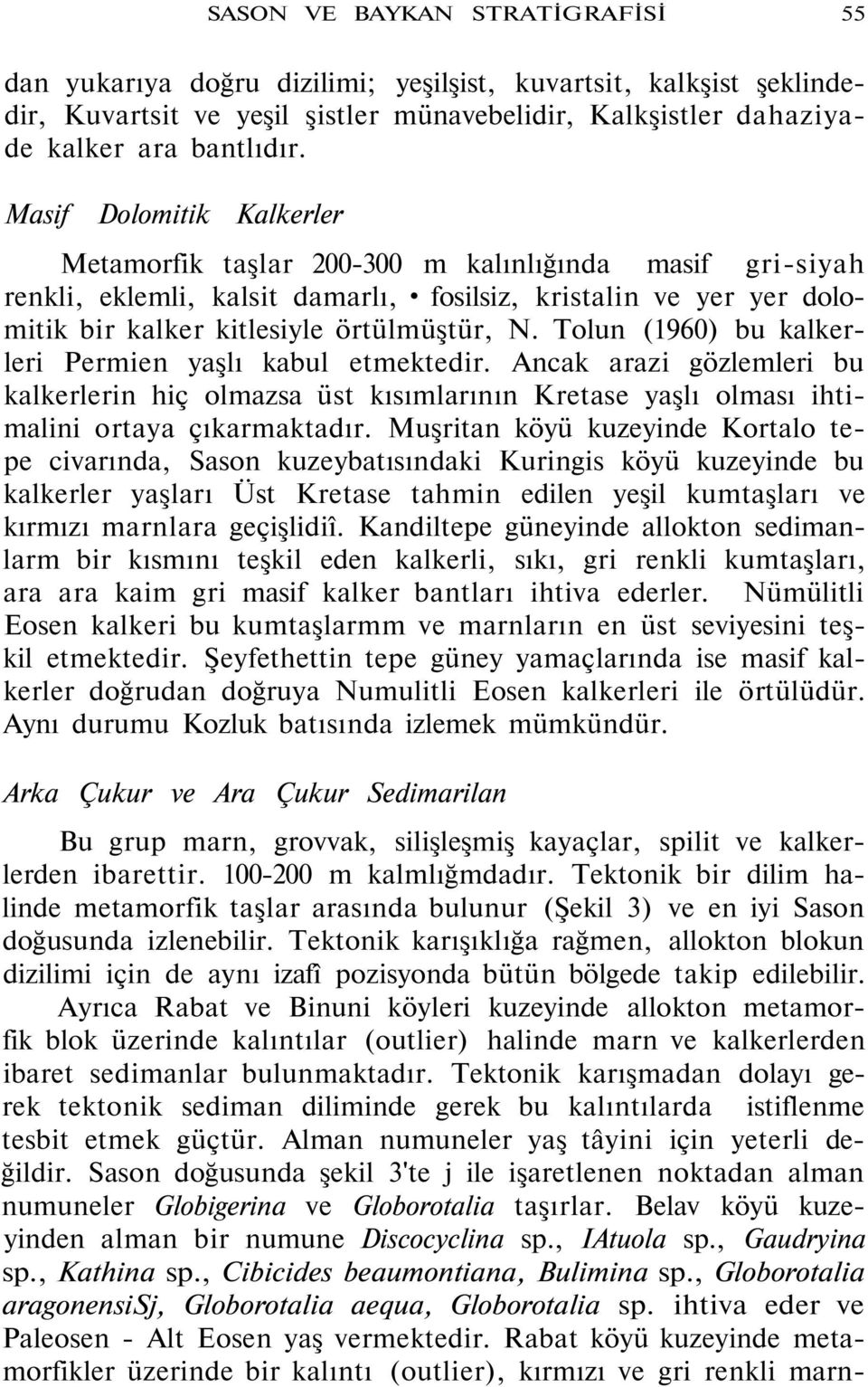 Tolun (1960) bu kalkerleri Permien yaşlı kabul etmektedir. Ancak arazi gözlemleri bu kalkerlerin hiç olmazsa üst kısımlarının Kretase yaşlı olması ihtimalini ortaya çıkarmaktadır.