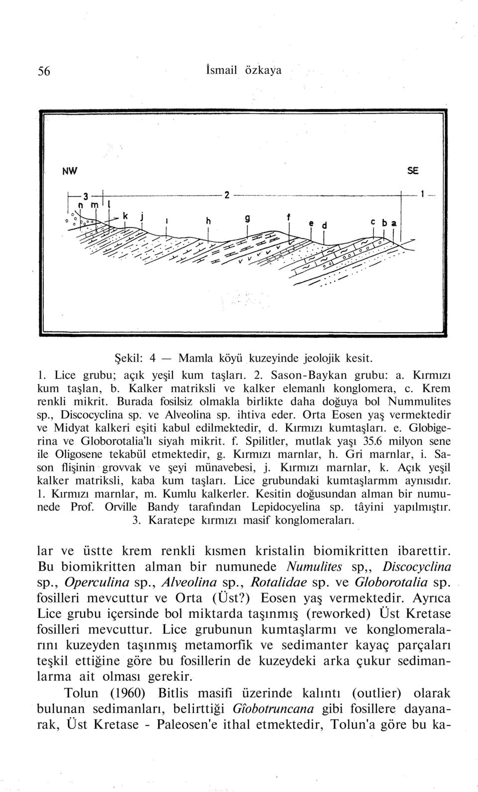 Orta Eosen yaş vermektedir ve Midyat kalkeri eşiti kabul edilmektedir, d. Kırmızı kumtaşları. e. Globigerina ve Globorotalia'lı siyah mikrit. f. Spilitler, mutlak yaşı 35.