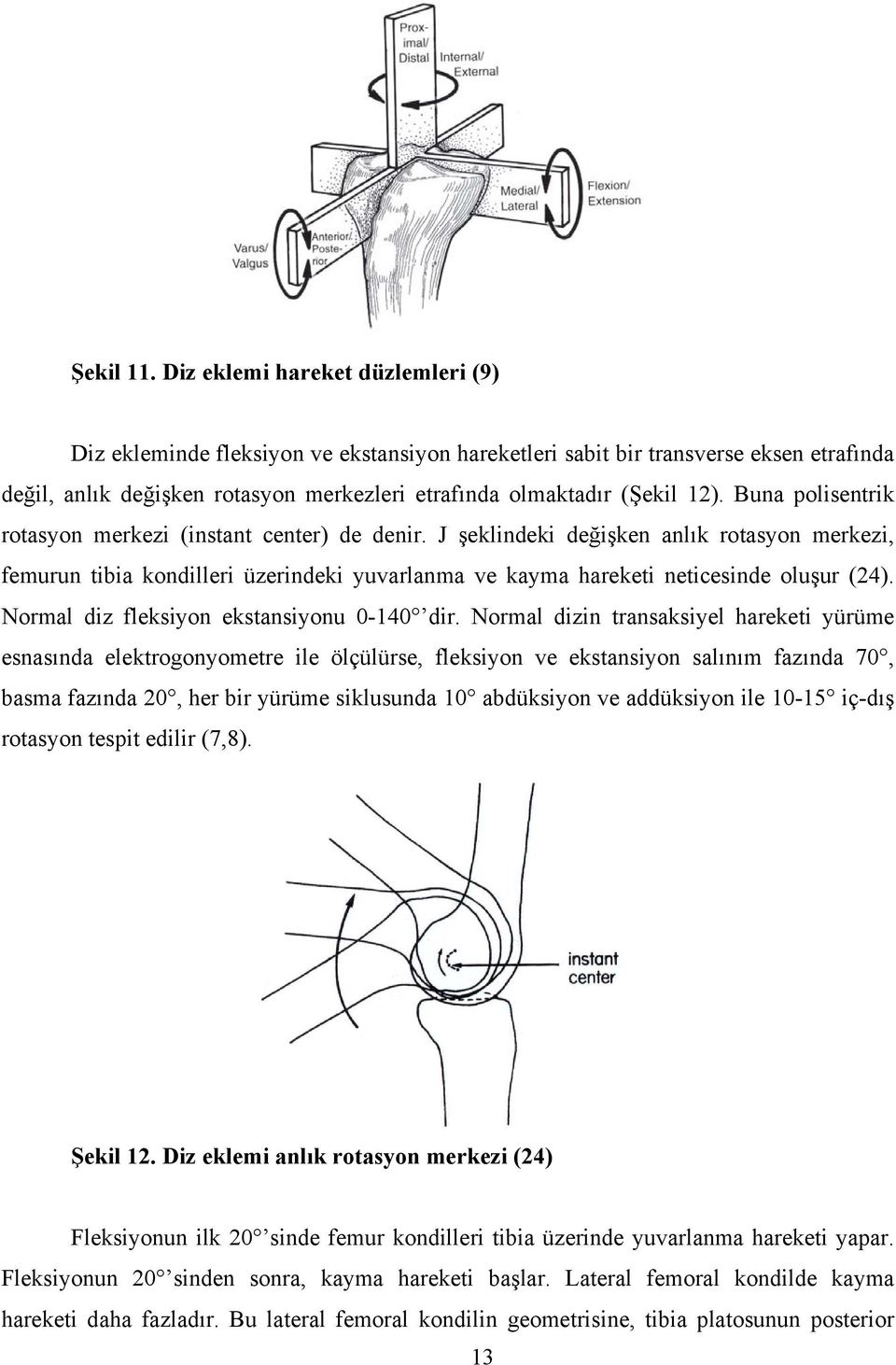 Buna polisentrik rotasyon merkezi (instant center) de denir. J şeklindeki değişken anlık rotasyon merkezi, femurun tibia kondilleri üzerindeki yuvarlanma ve kayma hareketi neticesinde oluşur (24).