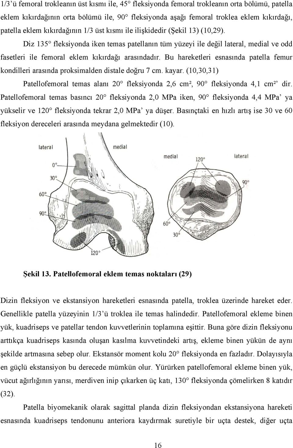 Bu hareketleri esnasında patella femur kondilleri arasında proksimalden distale doğru 7 cm. kayar. (1,3,31) Patellofemoral temas alanı 2 fleksiyonda 2,6 cm², 9 fleksiyonda 4,1 cm² dir.