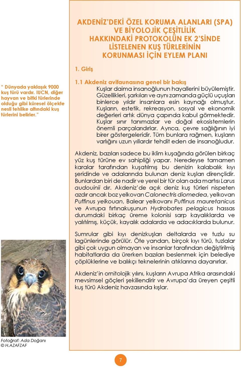 1 Akdeniz avifaunasına genel bir bakış Kuşlar daima insanoğlunun hayallerini büyülemiştir. Güzellikleri, şarkıları ve aynı zamanda güçlü uçuşları binlerce yıldır insanlara esin kaynağı olmuştur.