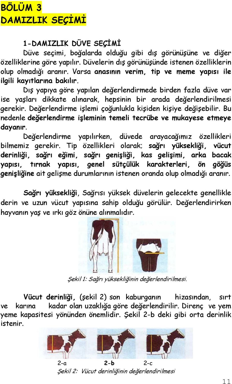 Dış yapıya göre yapılan değerlendirmede birden fazla düve var ise yaşları dikkate alınarak, hepsinin bir arada değerlendirilmesi gerekir. Değerlendirme işlemi çoğunlukla kişiden kişiye değişebilir.