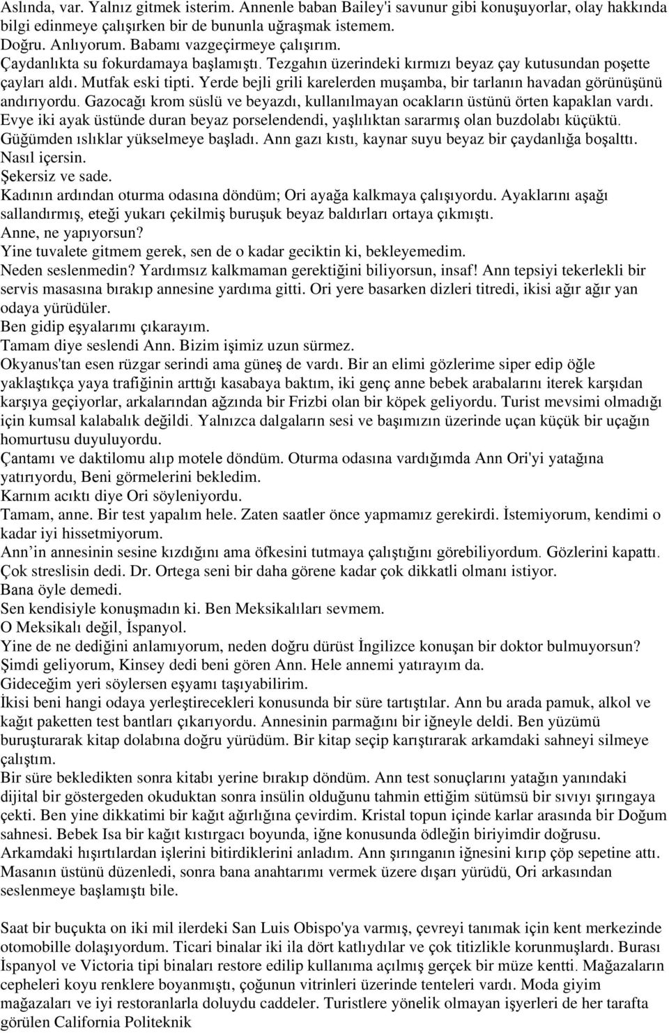 Yerde bejli grili karelerden muşamba, bir tarlanın havadan görünüşünü andırıyordu. Gazocağı krom süslü ve beyazdı, kullanılmayan ocakların üstünü örten kapaklan vardı.