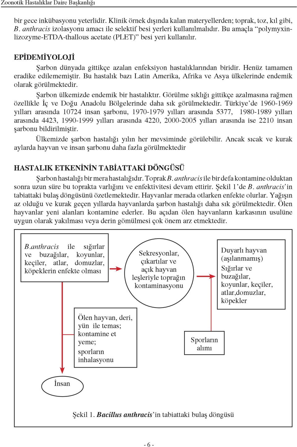 EPİDEMİYOLOJİ Şarbon dünyada gittikçe azalan enfeksiyon hastalıklarından biridir. Henüz tamamen eradike edilememiştir.