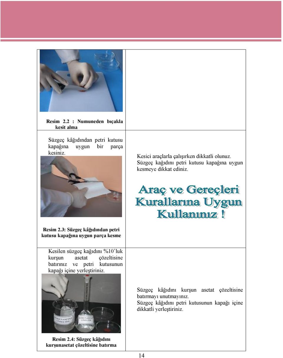 3: Süzgeç kâğıdından petri kutusu kapağına uygun parça kesme Kesilen süzgeç kağıdını %10 luk kurşun asetat çözeltisine batırınız ve petri kutusunun