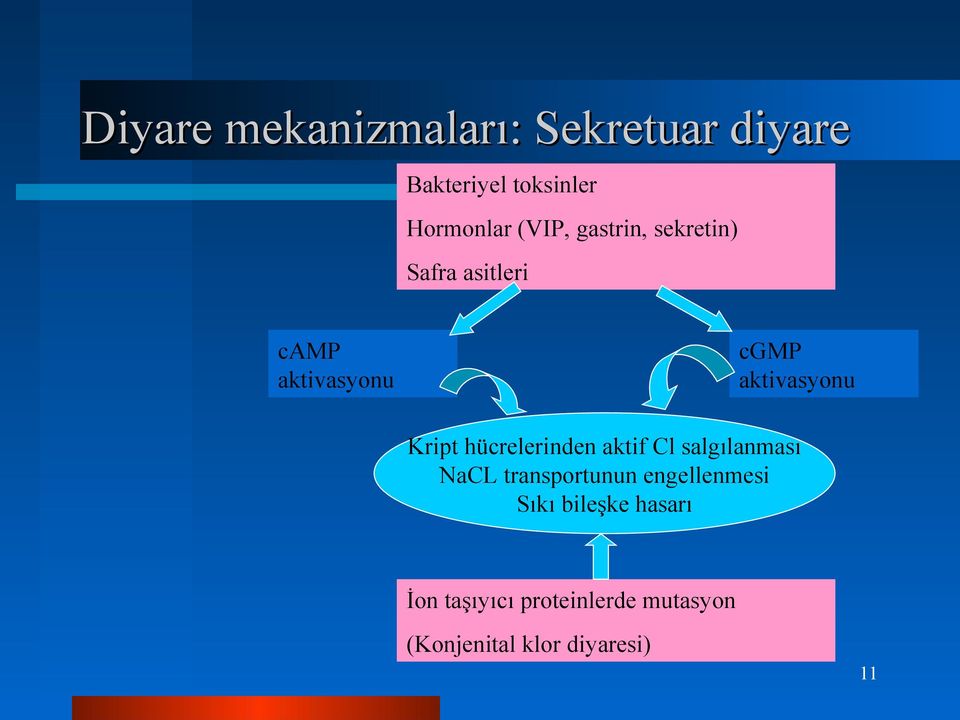 hücrelerinden aktif Cl salgılanması NaCL transportunun engellenmesi Sıkı