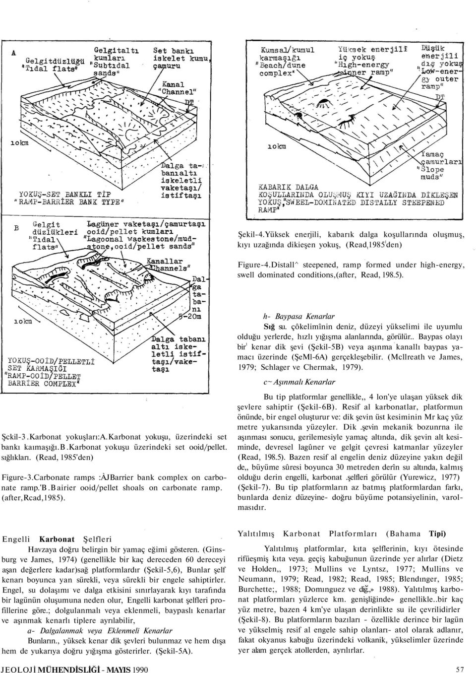 sığlıkları. (Read, 1985'den) Figure-3.Carbonate ramps :ÀJBarrier bank complex on carbonate ramp.'b.b airier ooid/pellet shoals on carbonate ramp. (after,rcad,1985). h- Baypasa Kenarlar Sığ su.