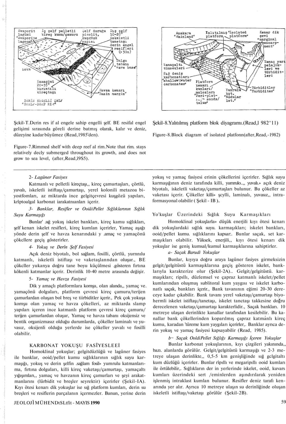 stays relatively decly submerged throughout its growth, and does not grow to sea level, (after,read,î9s5).