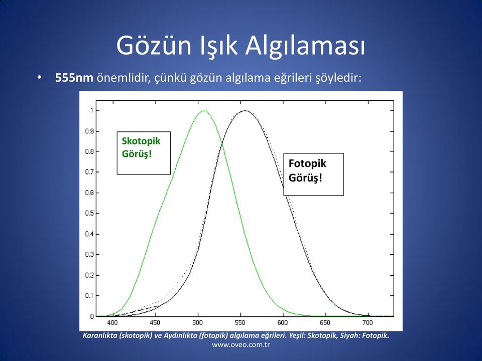 Fotopik Görüş!