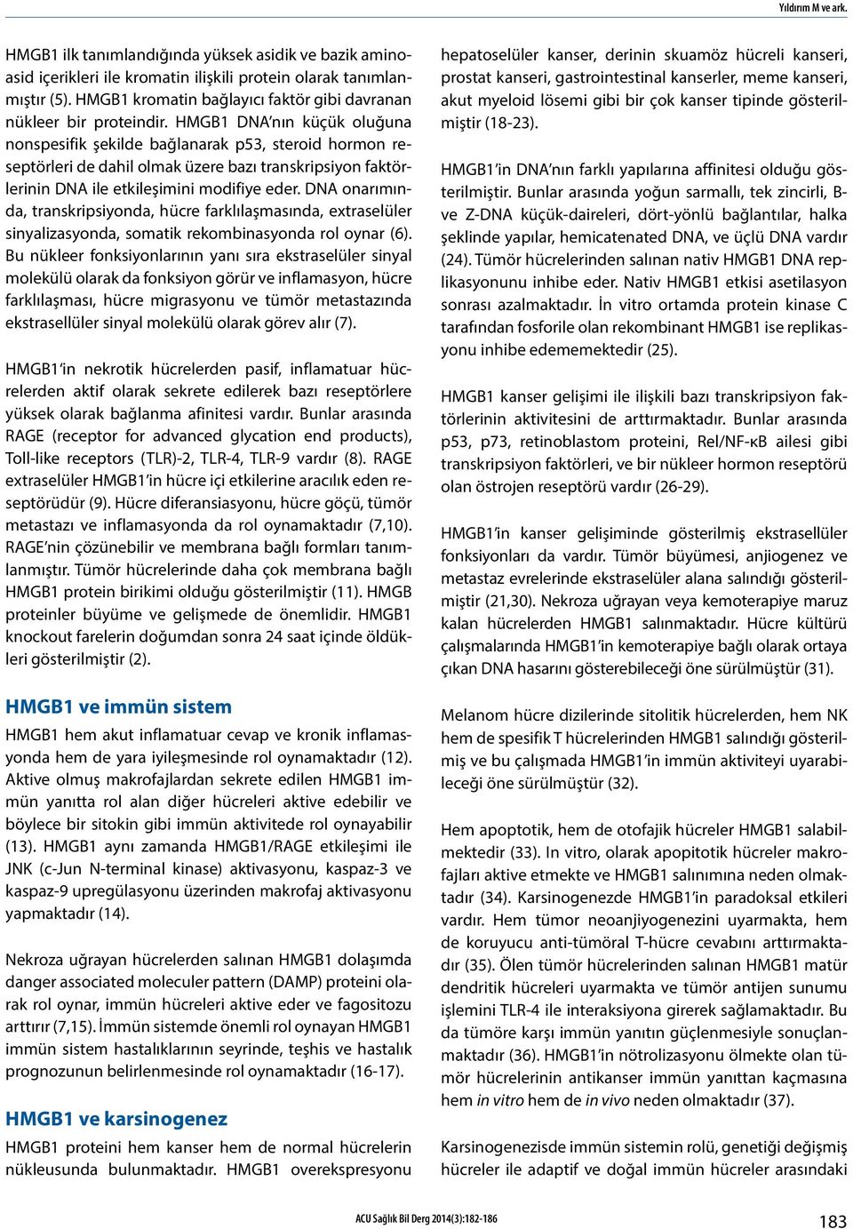 HMGB1 DNA nın küçük oluğuna nonspesifik şekilde bağlanarak p53, steroid hormon reseptörleri de dahil olmak üzere bazı transkripsiyon faktörlerinin DNA ile etkileşimini modifiye eder.