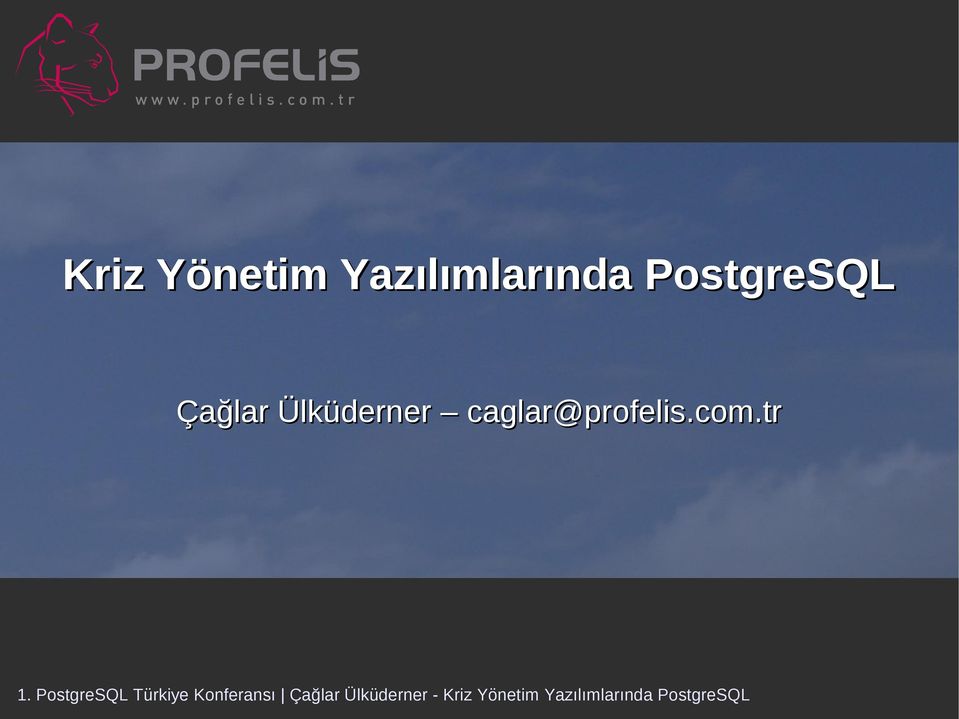 PostgreSQL Çağlar