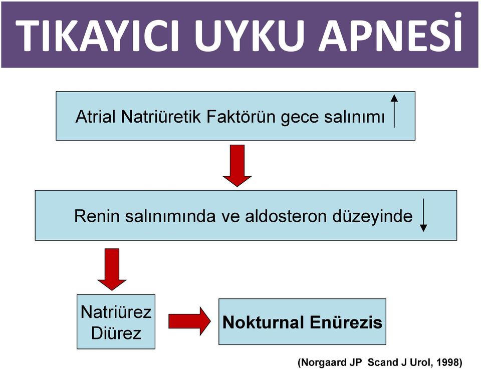 aldosteron düzeyinde Natriürez Diürez