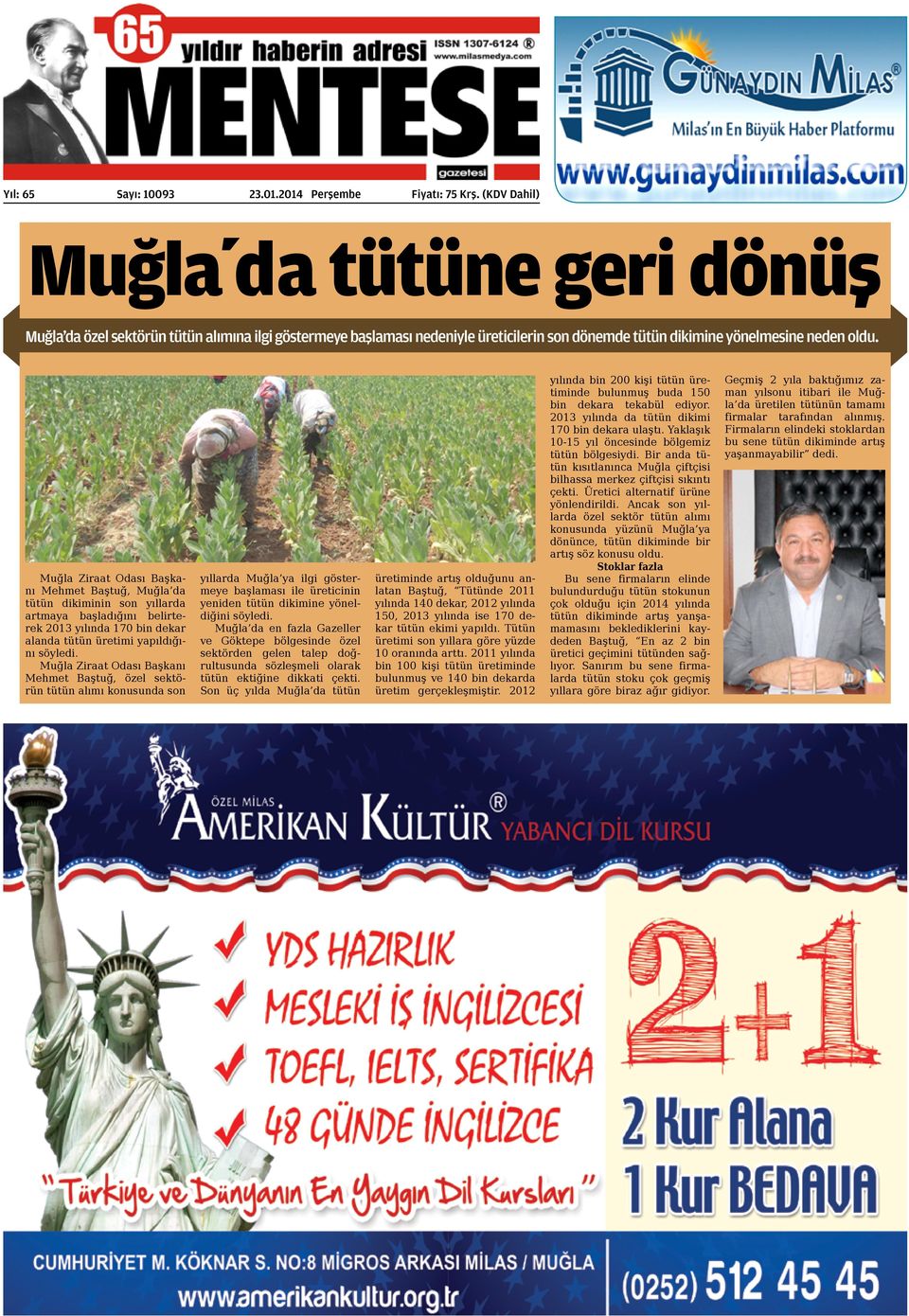 Muğla Ziraat Odası Başkanı Mehmet Baştuğ, Muğla da tütün dikiminin son yıllarda artmaya başladığını belirterek 2013 yılında 170 bin dekar alanda tütün üretimi yapıldığını söyledi.
