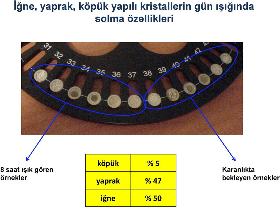 ıģık gören örnekler köpük % 5 yaprak %