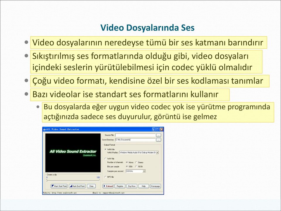 video formatı, kendisine özel bir ses kodlaması tanımlar Bazı videolar ise standart ses formatlarını kullanır