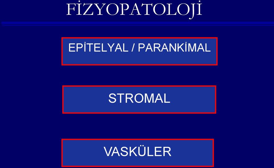 PARANKİMAL