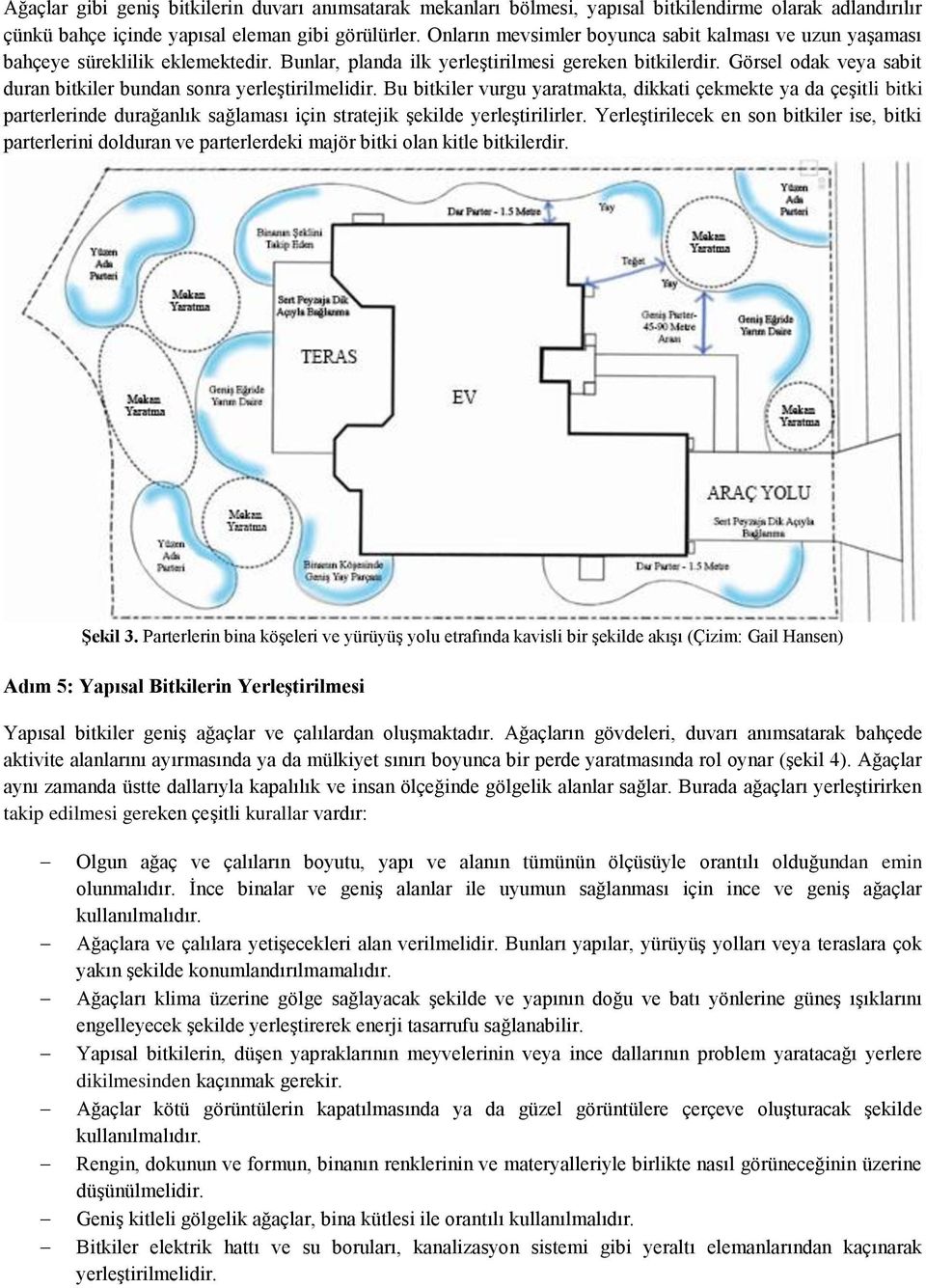 Görsel odak veya sabit duran bitkiler bundan sonra yerleştirilmelidir.