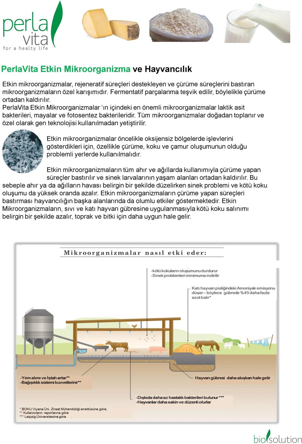 PerlaVita Etkin Mikroorganizmalar ın içindeki en önemli mikroorganizmalar laktik asit bakterileri, mayalar ve fotosentez bakterileridir.