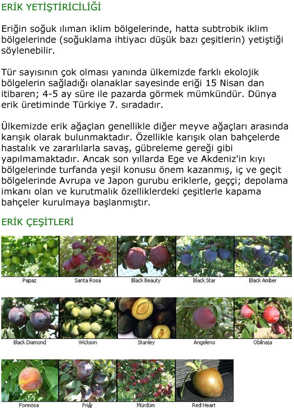 Dünya erik üretiminde Türkiye 7. sıradadır. Ülkemizde erik ağaçlan genellikle diğer meyve ağaçları arasında karışık olarak bulunmaktadır.