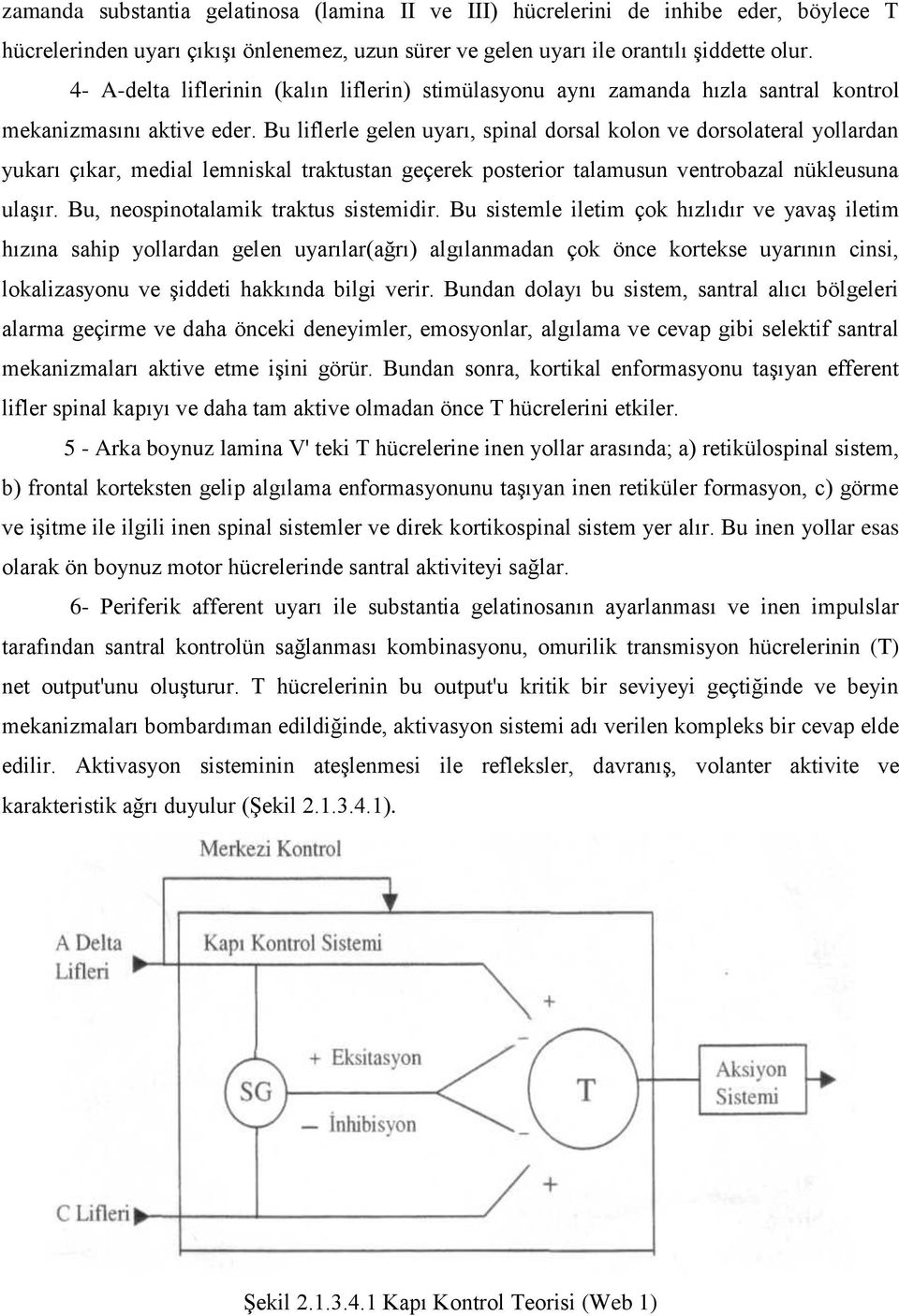 Bu liflerle gelen uyarı, spinal dorsal kolon ve dorsolateral yollardan yukarı çıkar, medial lemniskal traktustan geçerek posterior talamusun ventrobazal nükleusuna ulaşır.