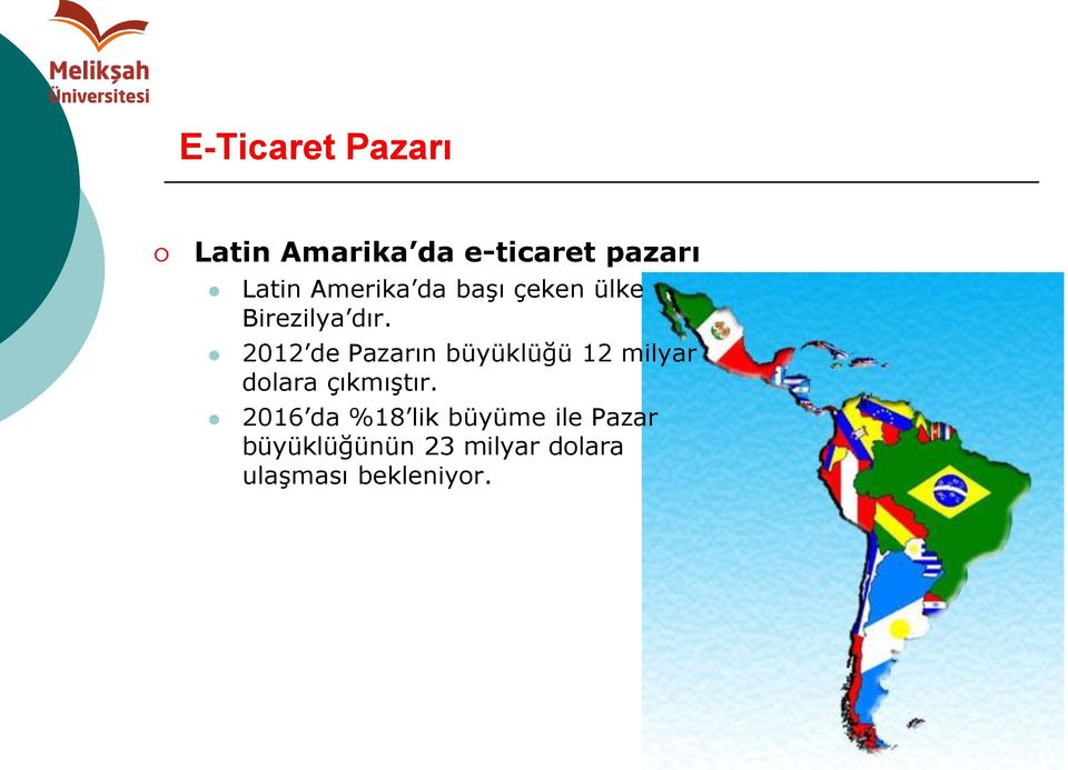 2012 de Pazarın büyüklüğü 12 milyar dolara çıkmıştır.