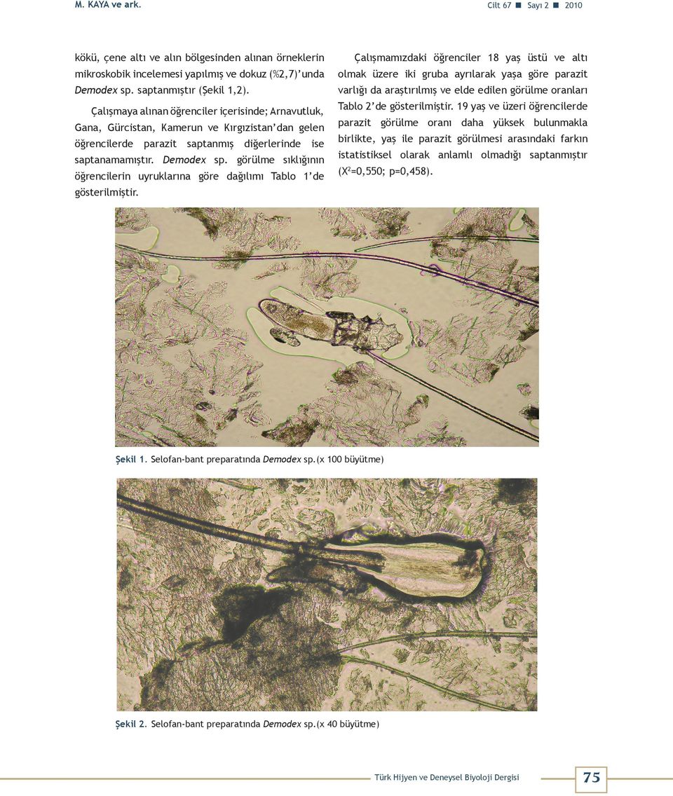 ayrılarak yaşa göre parazit Demodex sp. saptanmıştır (Şekil 1,2).