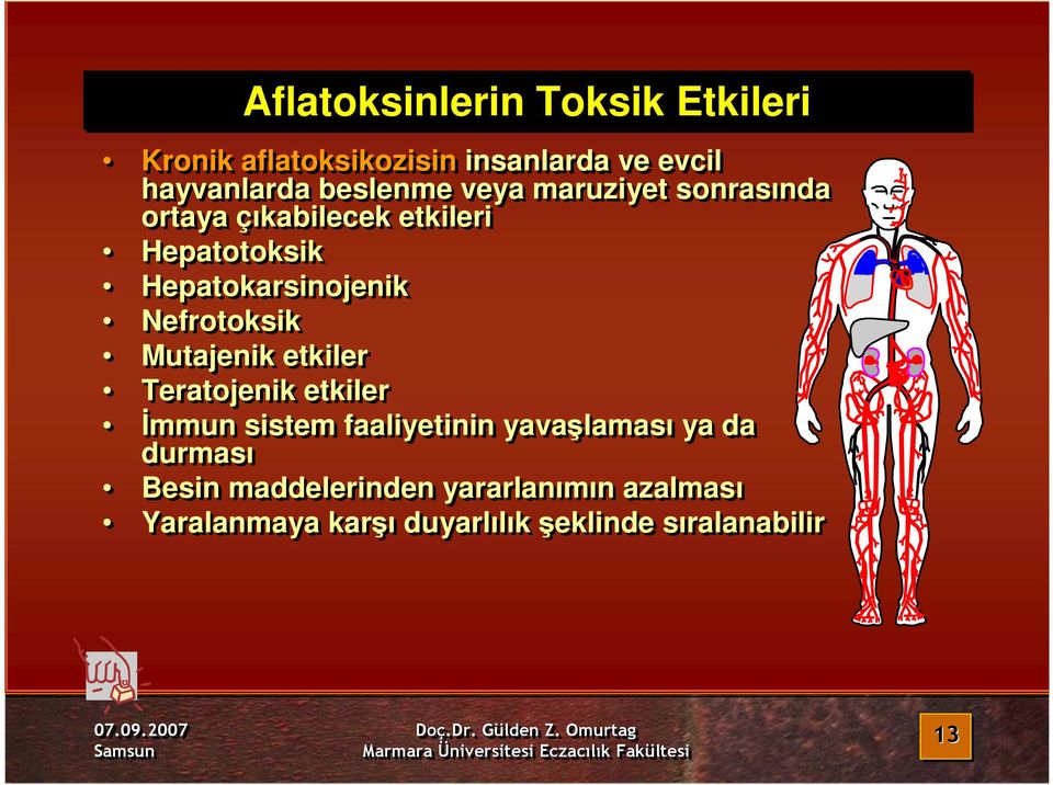 Nefrotoksik Mutajenik etkiler Teratojenik etkiler Đmmun sistem faaliyetinin yavaşlaması ya da