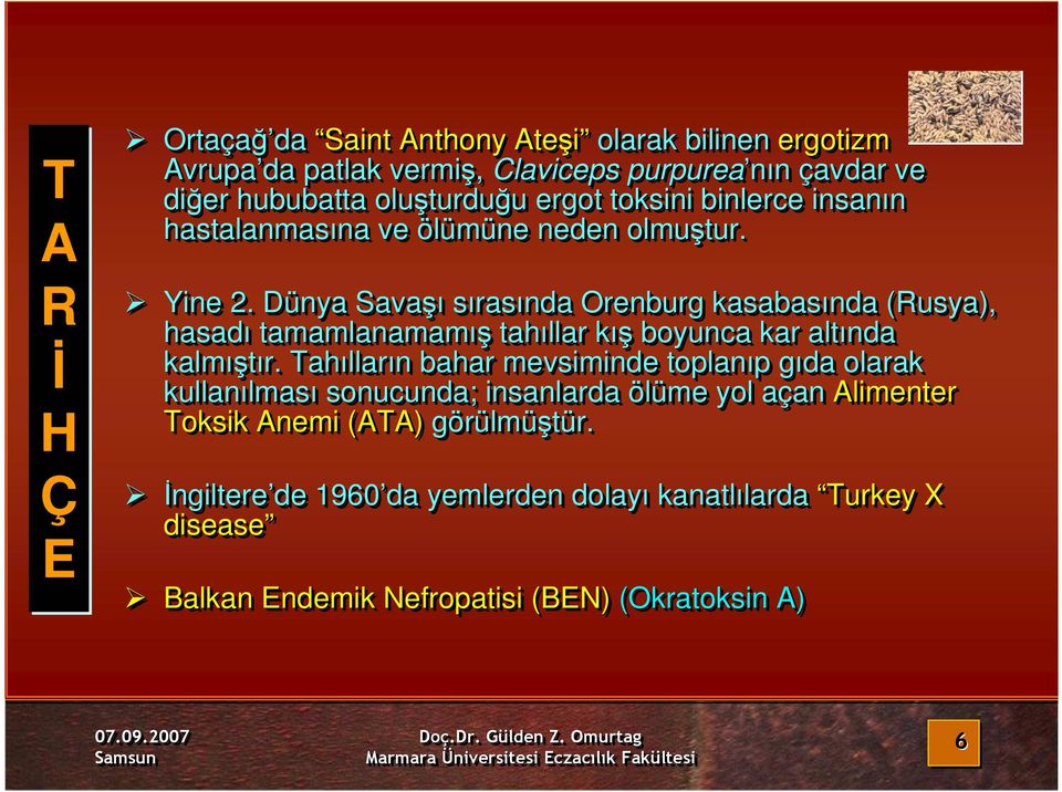 Dünya Savaşı sırasında Orenburg kasabasında (Rusya), hasadı tamamlanamamış tahıllar kış boyunca kar altında kalmıştır.