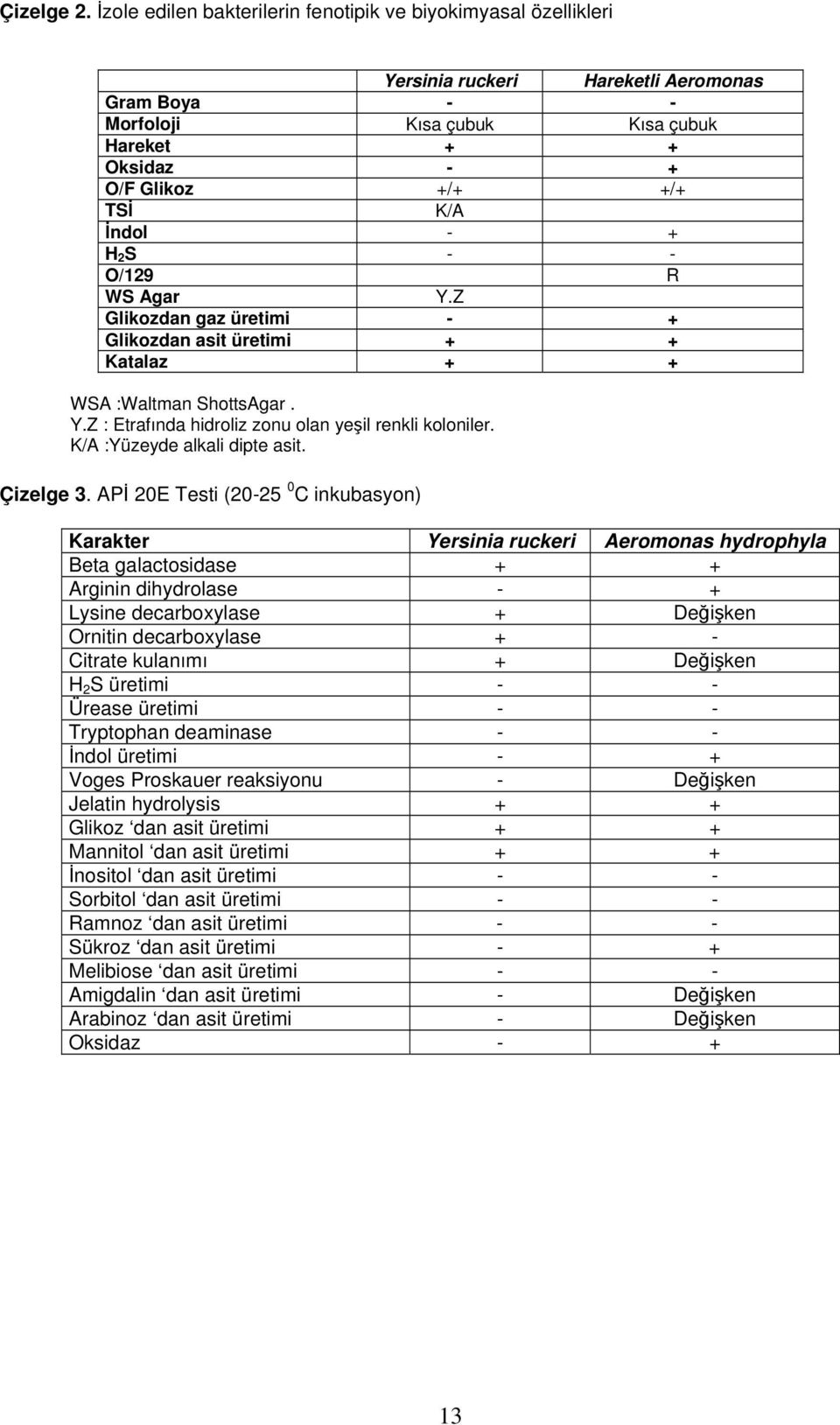 İndol - + H 2 S - - O/129 R WS Agar Y.Z Glikozdan gaz üretimi - + Glikozdan asit üretimi + + Katalaz + + WSA :Waltman ShottsAgar. Y.Z : Etrafında hidroliz zonu olan yeşil renkli koloniler.