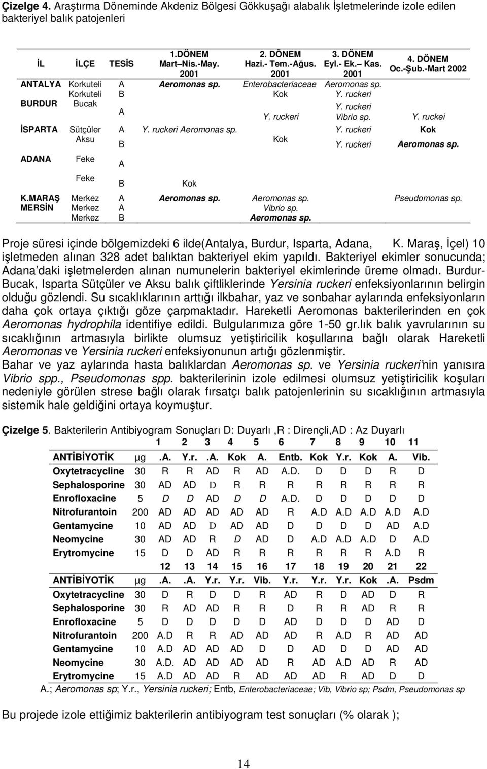 ruckeri Aeromonas sp. Y. ruckeri Kok Aksu B Kok Y. ruckeri Aeromonas sp. ADANA Feke A Feke B Kok K.MARAŞ Merkez A Aeromonas sp. Aeromonas sp. Pseudomonas sp. MERSİN Merkez A Vibrio sp.