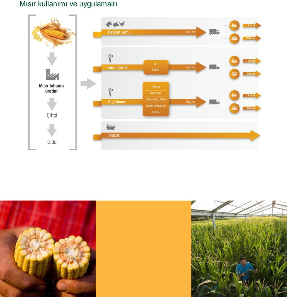 Çiftçi Yaş işleme Nişasta Mısır yağı Gıdalar için gluten Gluten