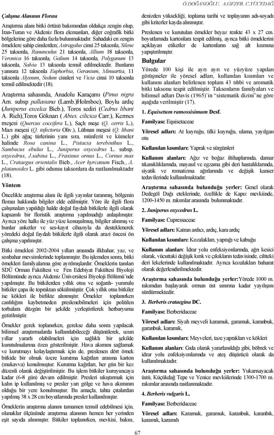 zengin örneklere sahip cinslerden; Astragalus cinsi 25 taksonla, Silene 25 taksonla, Ranunculus 21 taksonla, Allium 18 taksonla, Veronica 16 taksonla, Galium 14 taksonla, Polyganum 13 taksonla,