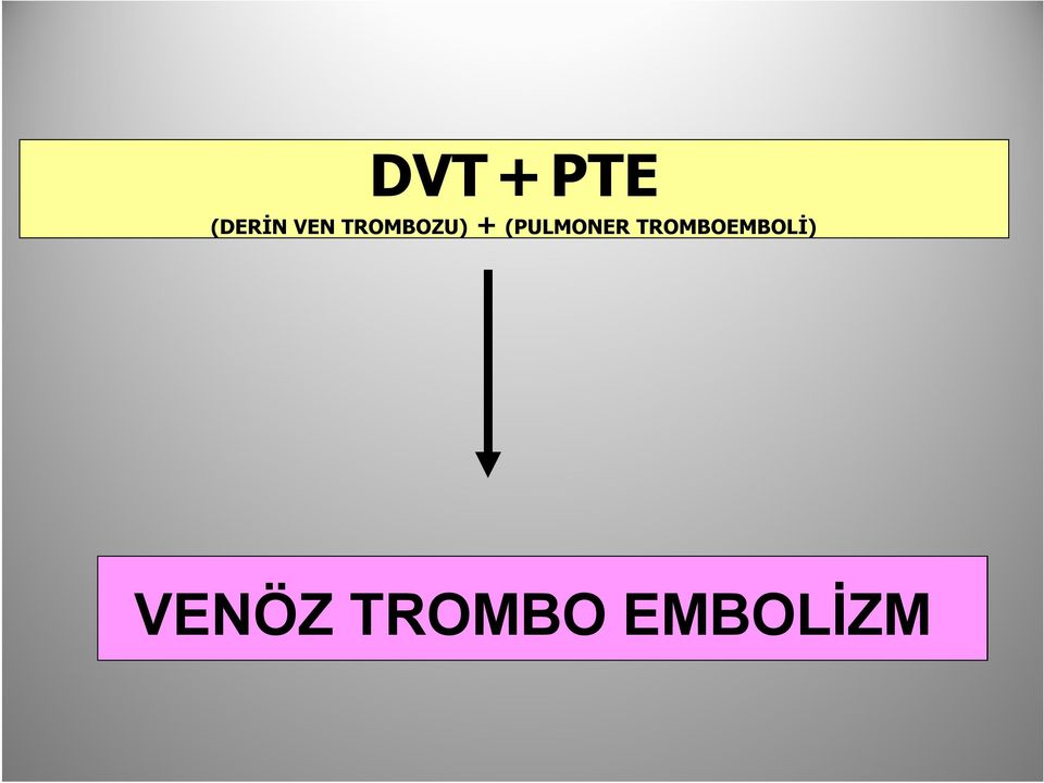 (PULMONER